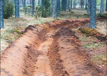 В Благовещенске обновляют минерализованные полосы