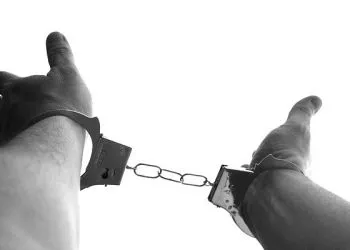 В Амурской области полицейские за сутки задержали шестерых граждан, находящихся в розыске
