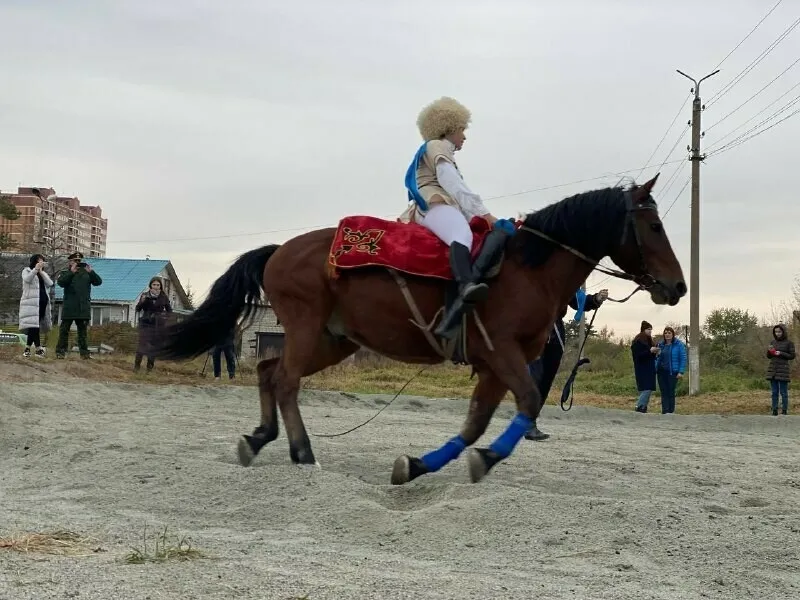 На благовещенском ипподроме закрыли беговой и скаковой сезоны