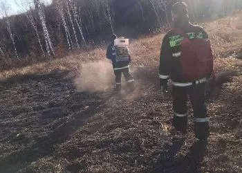 Крупный природный пожар потушили в Приамурье