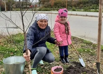 Благовещенцев приглашают выбрать место уборки для участия в акции «Город берегу»