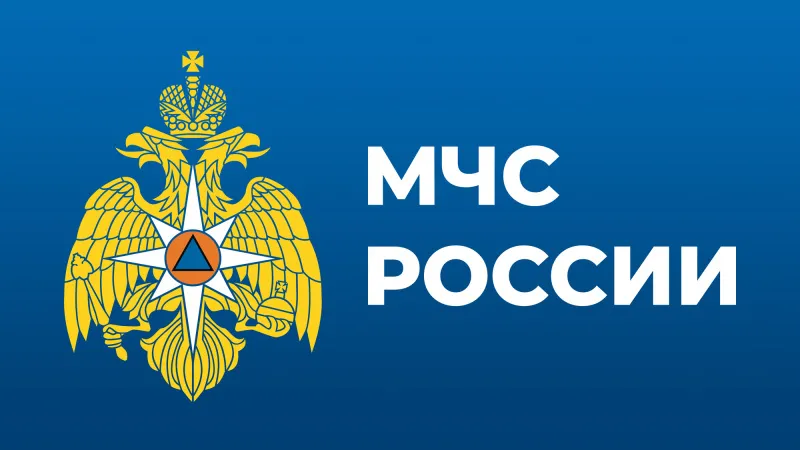 Президент наградил сотрудников  МЧС России