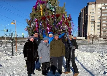 В отдаленном районе Благовещенска по просьбе жителей установили елку