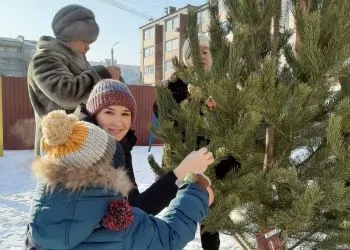 Трем благовещенским дворам дадут по 100 тысяч рублей за красоту