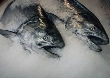 Более 20 тонн подозрительных продуктов пытались провезти через Приамурье