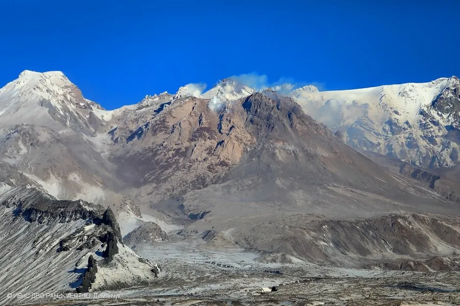 Извергающийся на Камчатке вулкан Шивелуч выбросил столб пепла на пять с половиной километров