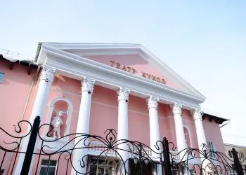 В Амурской области открыли новые библиотеки и отремонтировали театр кукол